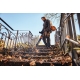 STIHL BGA 300: PLECAKOWA DMUCHAWA AKUMULATOROWA: DUŻA MOC I CICHA PRACA